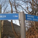 공세리농장 Daum카페