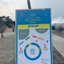 예찬플라워 | 루시 플라워 앵콜 콘서트 후기(written by FLOWER ENCORE in SEOUL)