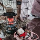 포포즈 반려동물장례식장 화성점 이미지