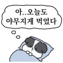 소림마라전주