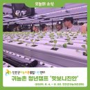 [청년캠프_맛보니진안_1주차] 이미지