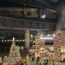 12/9 크리스마스 테라리움 | 뚝섬한강 자벌레에서 열린 '로맨틱한강 크리스마스 마켓 '후기/ 피에스플랜트아트스튜디오.