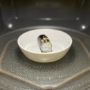 본충무김밥 | 코스트코 충무김밥 처음 먹어본 후기, 주의할 점 맛 가격