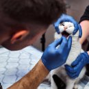 하이동물병원 이미지