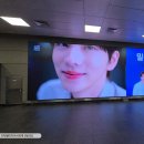 DS미디어 이미지