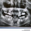 가지런이치과교정과치과의원 이미지