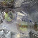 브라보 마이펫 이미지