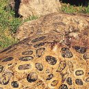 무주읍249 이미지