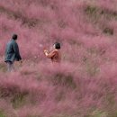 정읍사공원 이미지