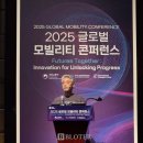 송창현, 자율주행·플레오스 데뷔 전 떠나...현대차 미래차 불투명 이미지