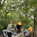 함허동천(제1야영장) | 강화 함허동천 제1야영장 37데크 이용 후기