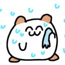 스시오오키이 이미지