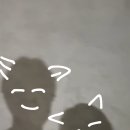 델리식스(Delhi 6) 이미지