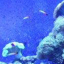 보물바다 이미지