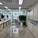 새봄행정사합동사무소 이미지