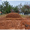 더조은요양병원 이미지