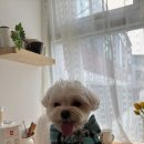 펀앤베네핏스튜디오 이미지