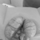 문정탑 동물병원 이미지