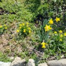 [찬샘통문 39-1]새삼스러운 ‘成均館’ 이야기(2) 이미지