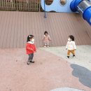 응삼공원 Daum카페