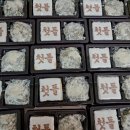 건강아름드리 이미지