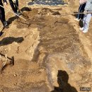 양천도시농업공원 | 양천도시농업공원 서울주말농장 신정자연텃밭농원에서 감자심고 힐링