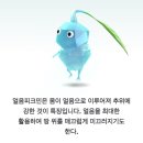 (주)신상네트워크 | 꿈만 같은 멋진 일이 잔뜩 네게 일어나길
