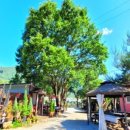 문경펜션 이미지