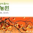 맛있는곶감농원