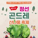 정선의 달 게스트하우스 이미지