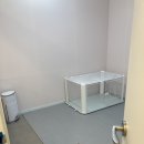 몽블리스 이미지