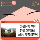 세븐일레븐 안산한양점 | [여행하는 새댁] 강원도 가을여행추천 영월 당일치기 코스 / 파랑새투어 후기