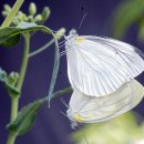 5월 남도축제 가볼만한 곳 "9선" 축제물결 이미지