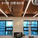 우디핏 이미지