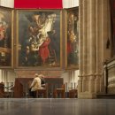 플란다스 개 이미지