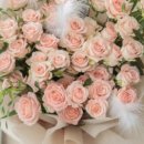 광교 파인렉스2차 이미지