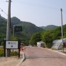 동상공설운동장 Daum카페