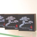 평화당한약국 이미지