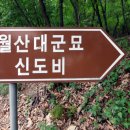 월산대군묘 및 신도비 이미지