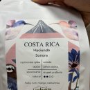 에스소노라인 이미지