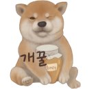 스시쿄다이 이미지