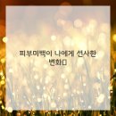 선릉디온의원 이미지