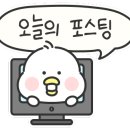 리틀파라솔 이미지