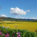 우리=만남+소망+미 이미지