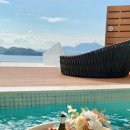 슈가브리움 이미지