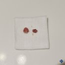 24시폴동물병원 이미지