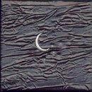 (주)원삼양봉산업 | 포즈랑님과 알바트로스님의 강의 후기