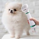 525그루밍 이미지