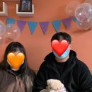 고양시 동물보호센터 이미지