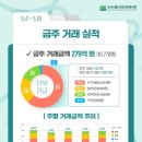 66청과수산